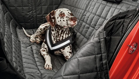 Superb Accessories 2